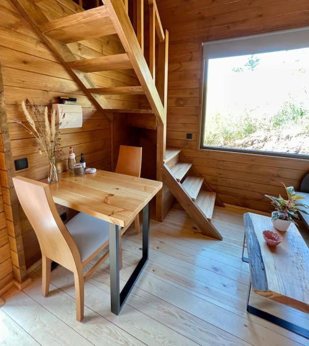 Mountain Eco Shelter 7 Otel Funchal Dış mekan fotoğraf
