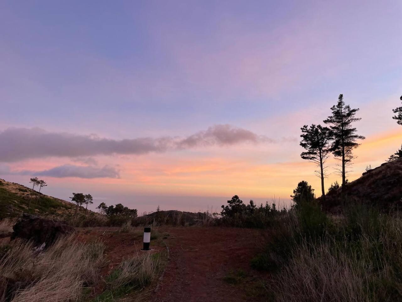 Mountain Eco Shelter 7 Otel Funchal Dış mekan fotoğraf