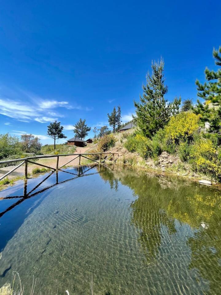 Mountain Eco Shelter 7 Otel Funchal Dış mekan fotoğraf