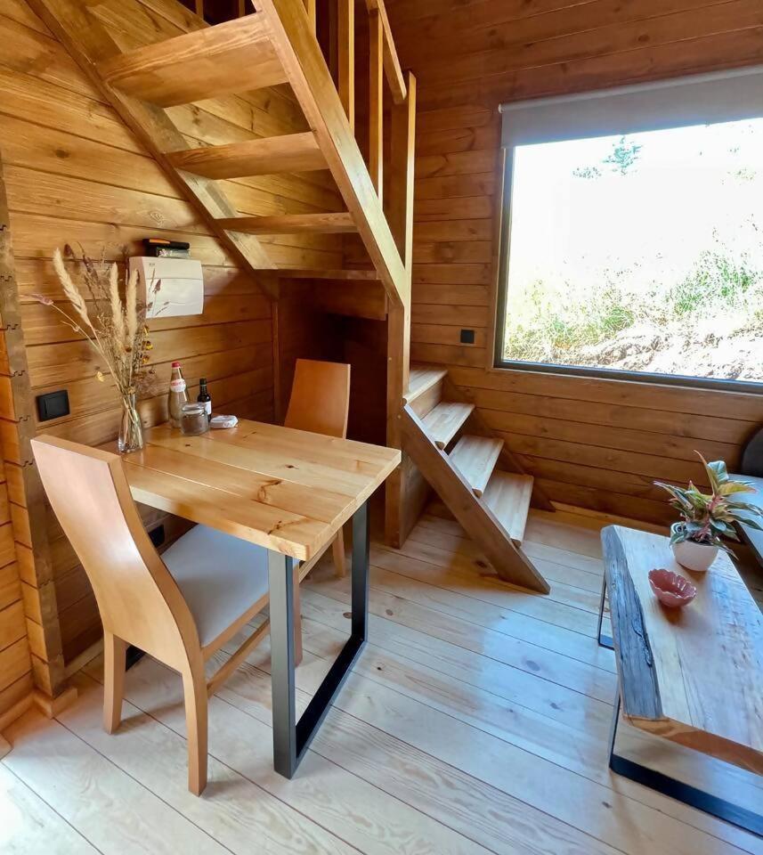 Mountain Eco Shelter 7 Otel Funchal Dış mekan fotoğraf