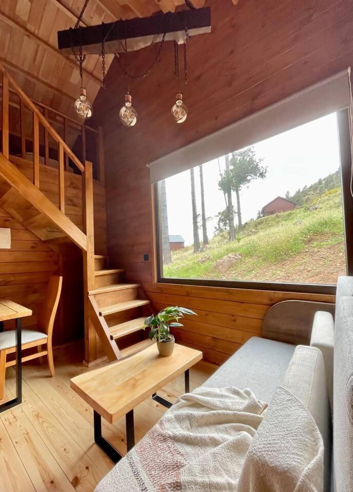 Mountain Eco Shelter 7 Otel Funchal Dış mekan fotoğraf