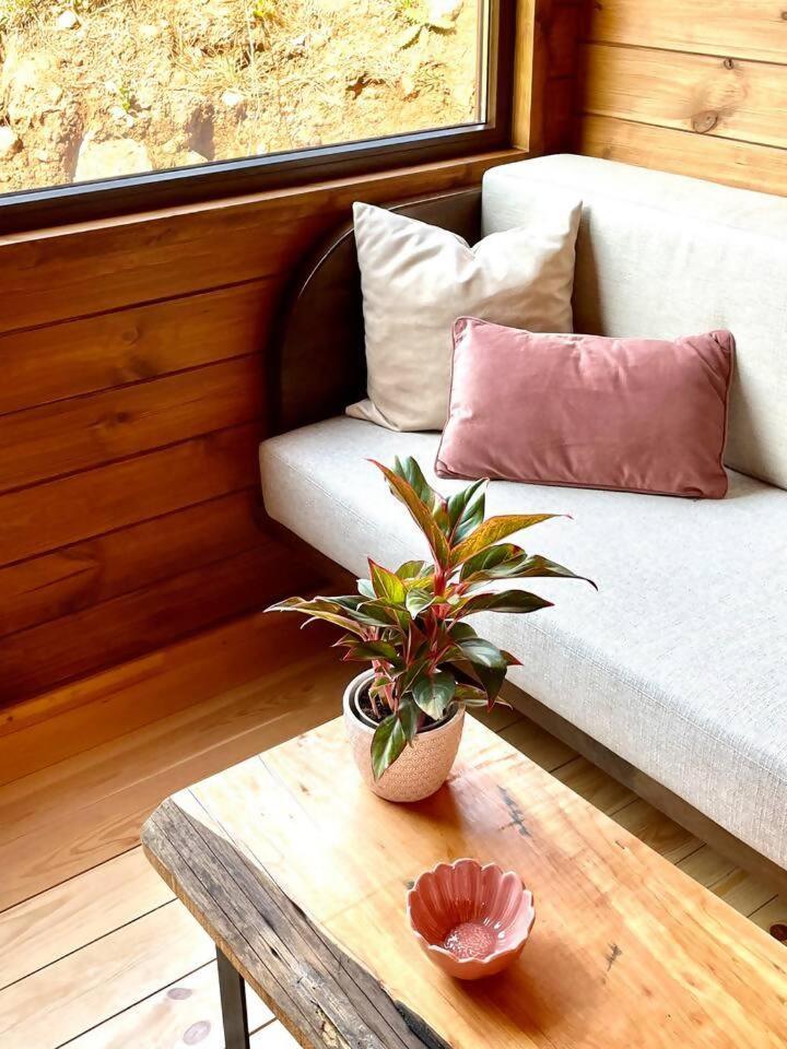 Mountain Eco Shelter 7 Otel Funchal Dış mekan fotoğraf