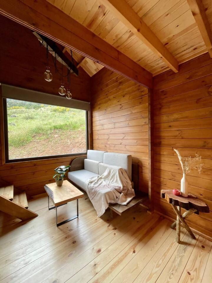 Mountain Eco Shelter 7 Otel Funchal Dış mekan fotoğraf